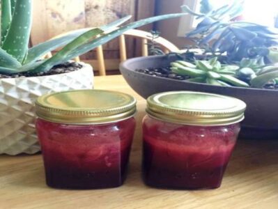 One Man’s Search for a Healthier, More Sustainable Life Image